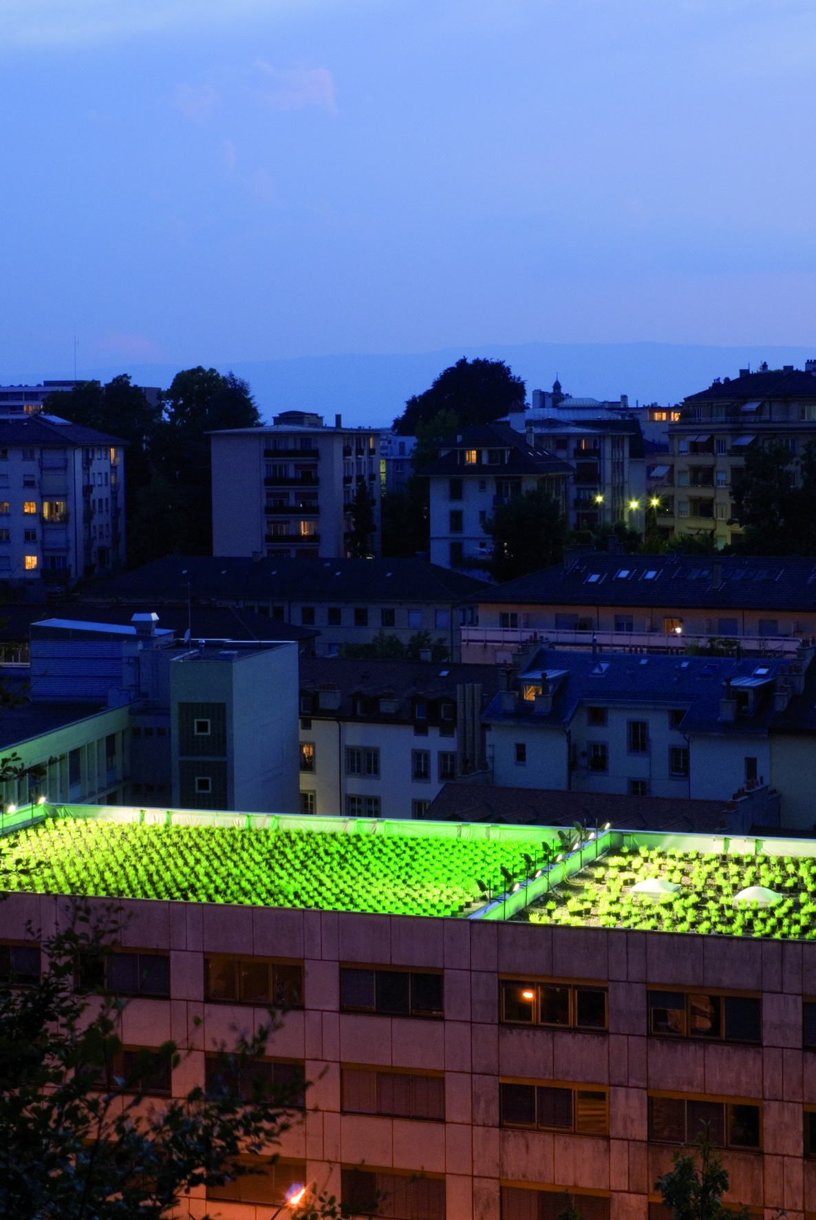 2.8 Golden Garden ©L.Baud